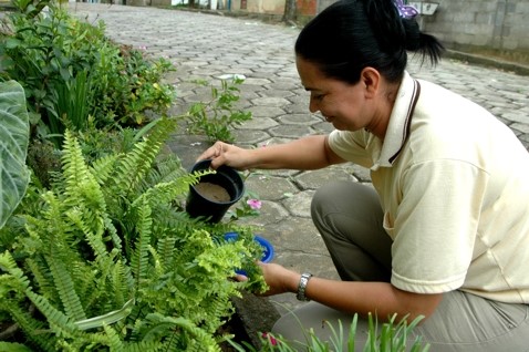 Aracruz capacita multiplicadores para combater a dengue na região